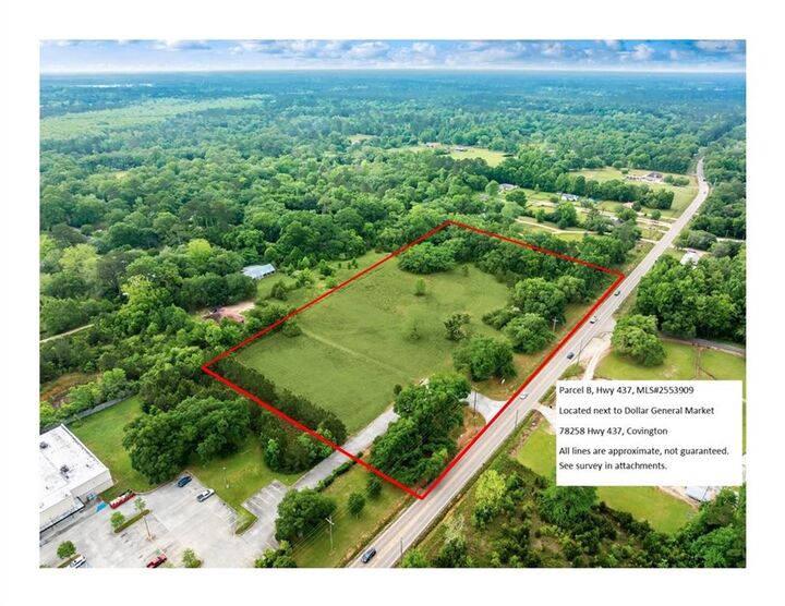 Property Photo:  6.1 Acres Hwy 437  LA 70435 