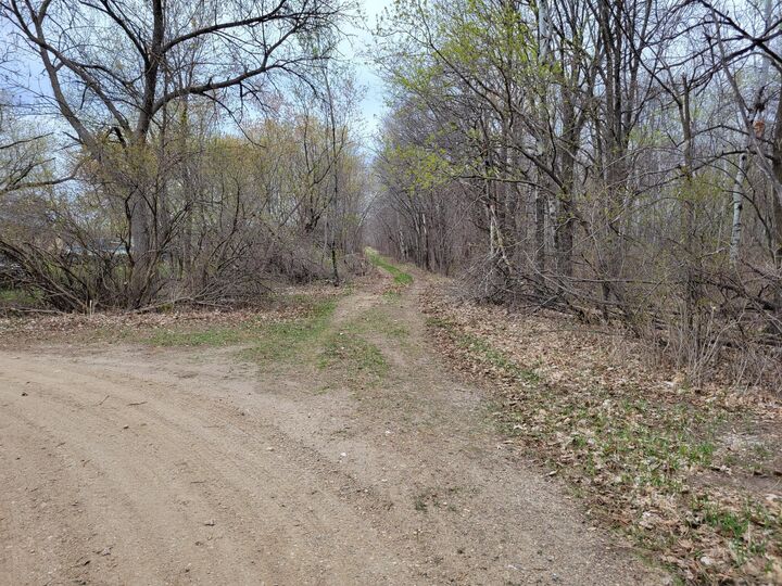 Property Photo: 38xxx 385th Street MN 56576