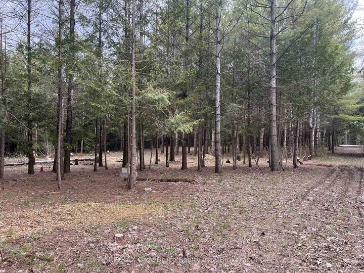 Property Photo:  523782 Concession 12 Road  ON N0C 1H0 