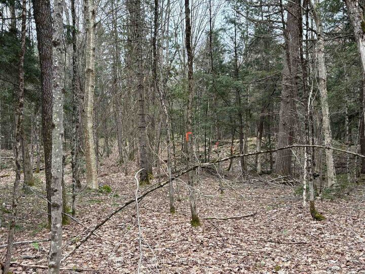Lot 1 Loch Erne Road — photo 1