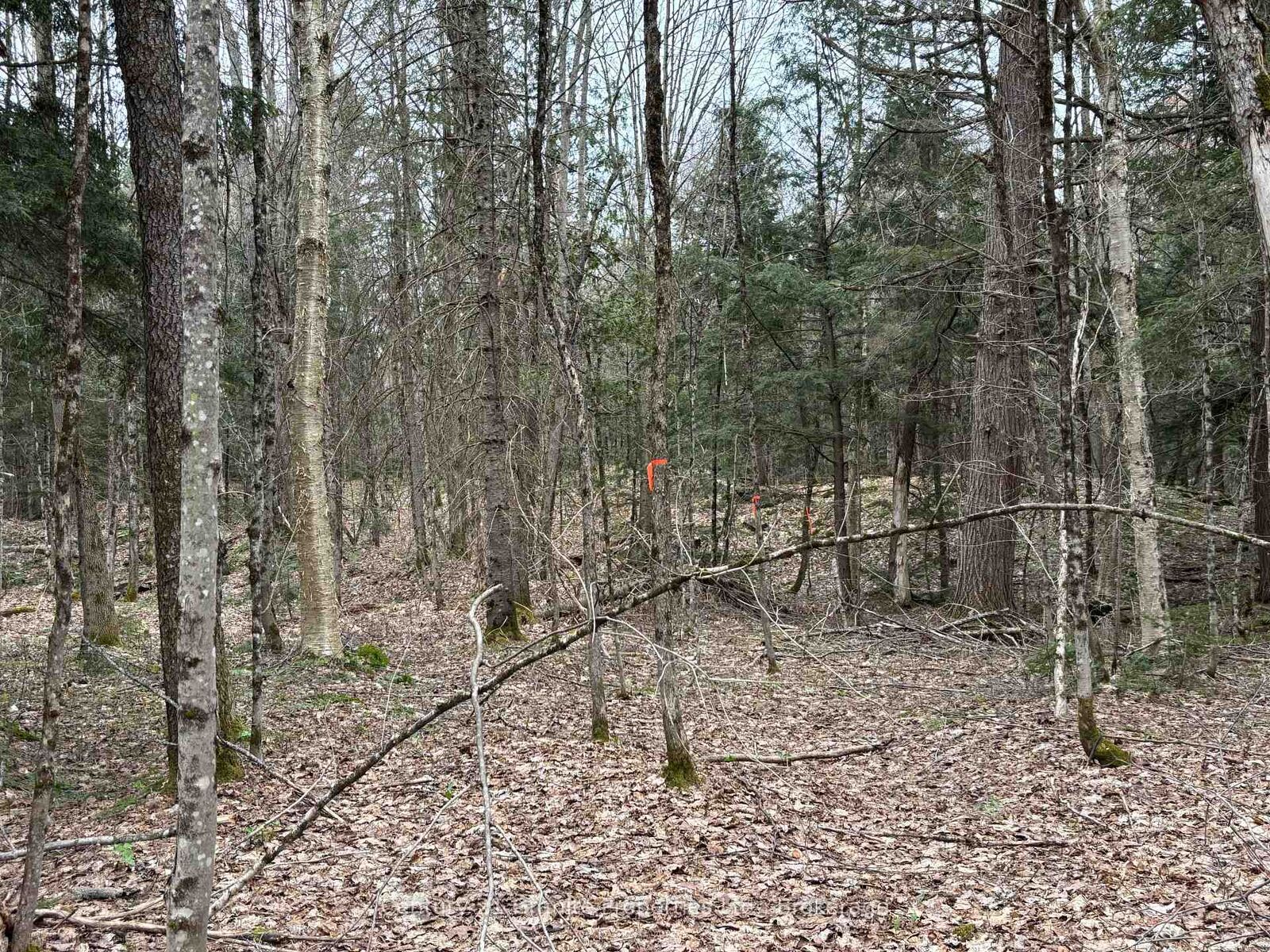 Property Photo:  Lot 1 Loch Erne Road  ON P2A 2W7 