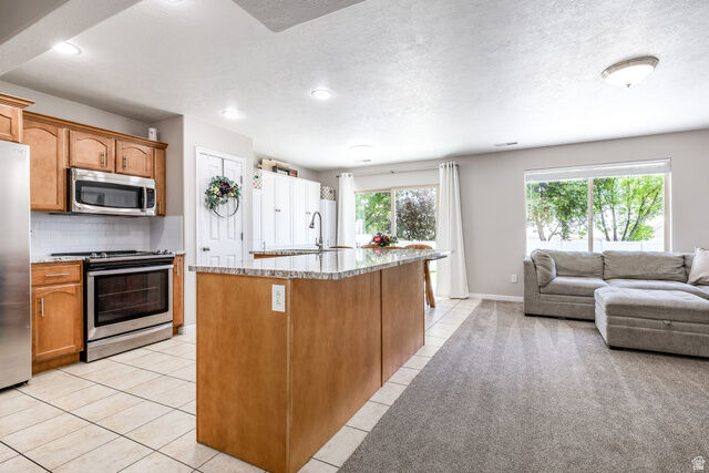 Property Photo:  163 Arlington Way  UT 84414 