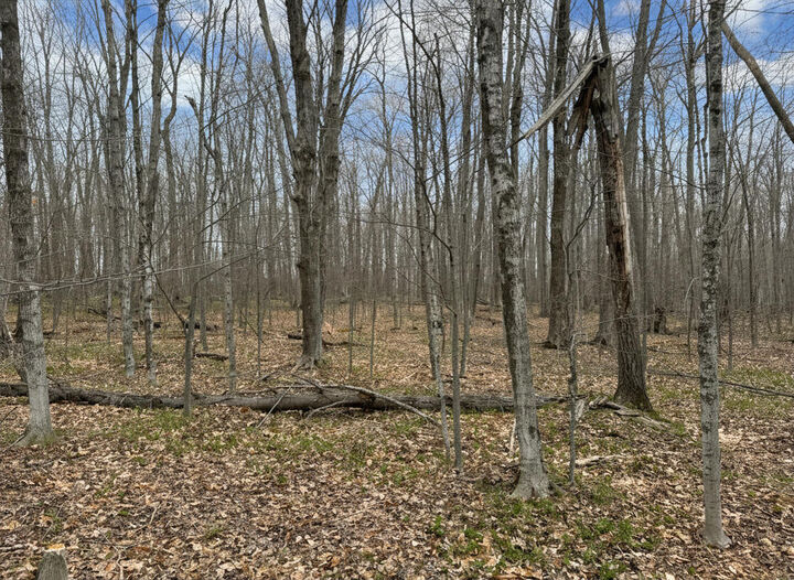 Property Photo:  1.7 Ac Latocha Road  MI 49769 