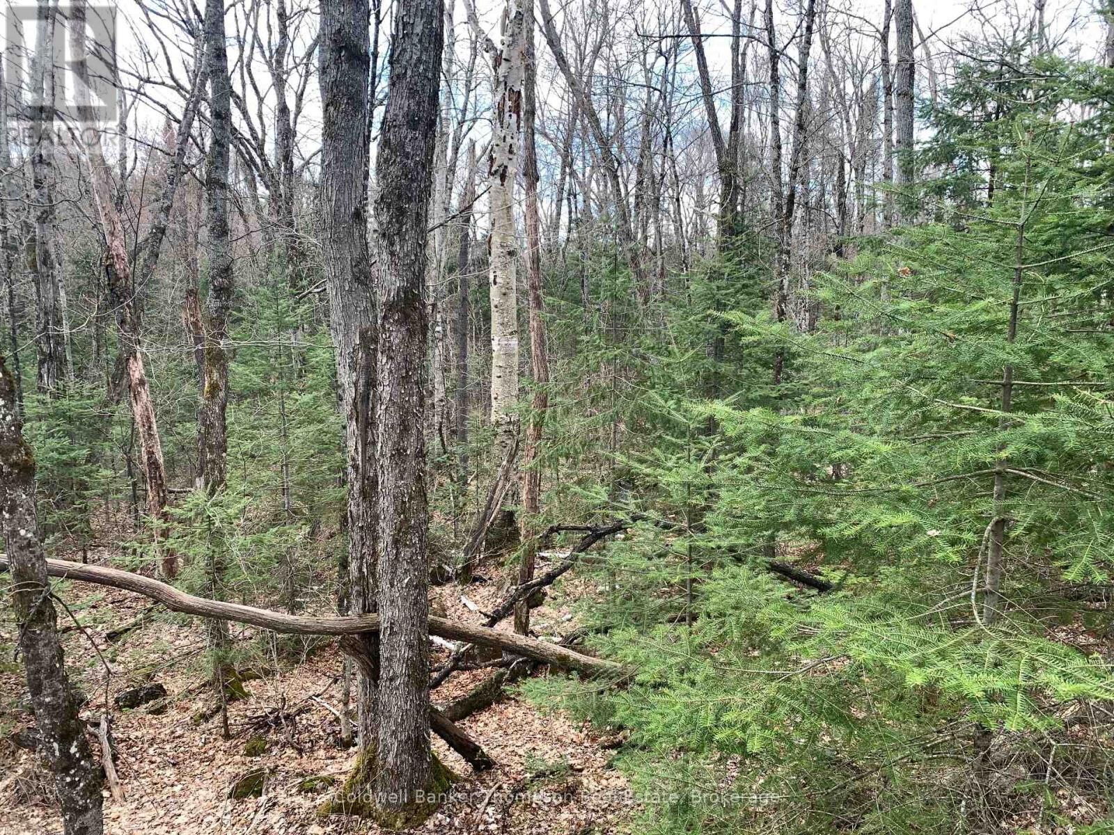 Property Photo:  0 South Horn Lake Road  ON P0A 1Z0 