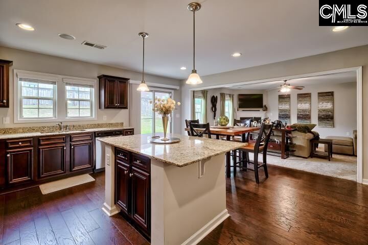 Property Photo:  828 Red Solstice  SC 29073 
