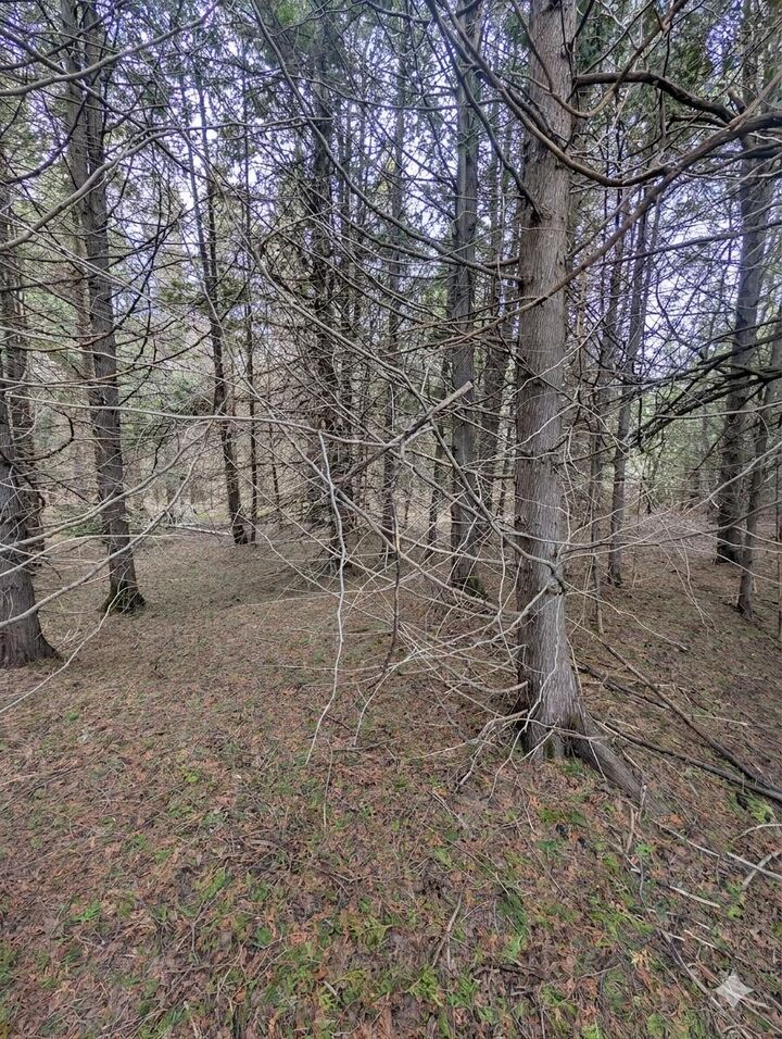 Property Photo:  000 M-123  MI 49760 