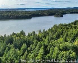 Lot 88-109 Bunker Hill Road — photo 1