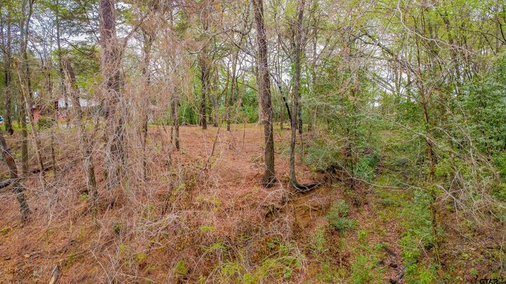 Property Photo:  161 Fairway East  TX 75771 