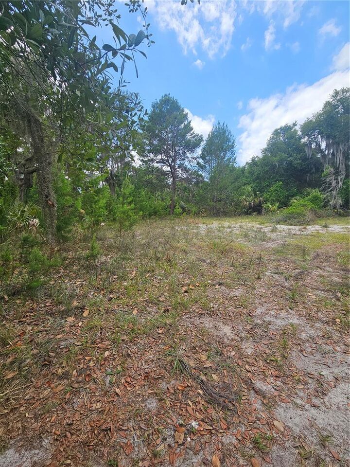 Property Photo:  0000 Culver Way  FL 32732 