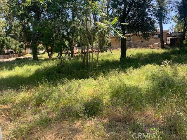 Property Photo:  14245 Woodland  CA 95422 