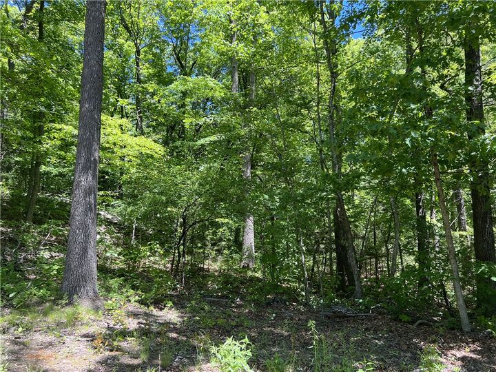 Property Photo:  Terrapin Road  AR 72601 