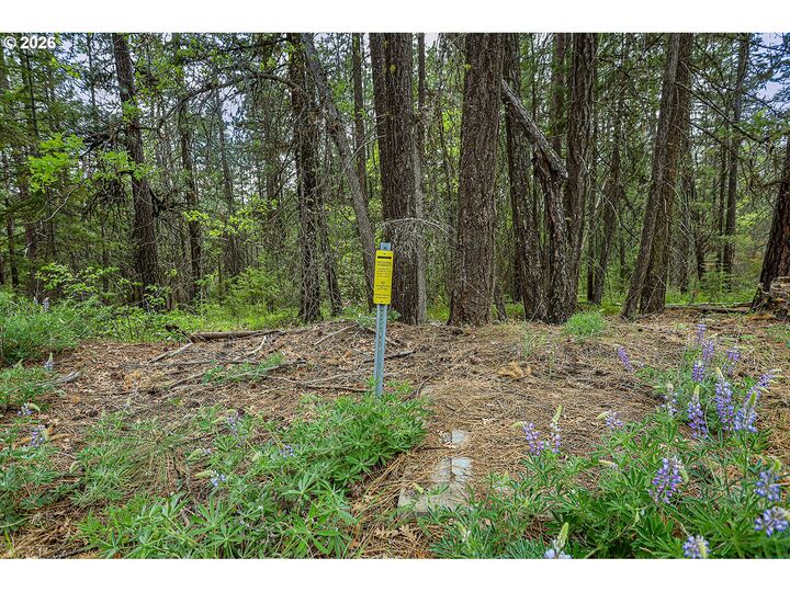 Property Photo:  Nka Forest Glen Dr #38  WA 98620 