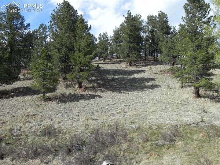 Property Photo:  1699 Monarch Drive  CO 80813 