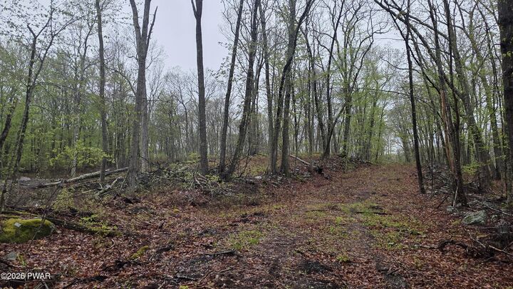 Property Photo:  Lot 1 White Birch Drive  PA 18428 