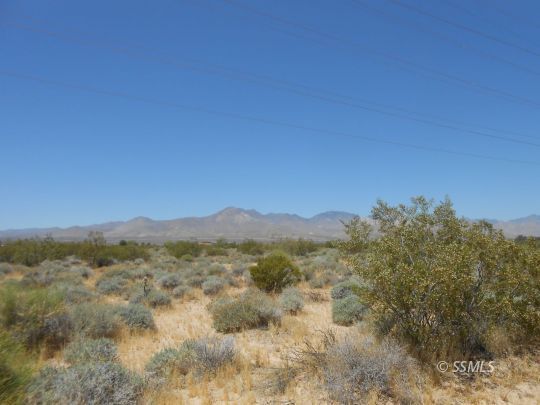 Property Photo:  Los Flores  CA 93527 