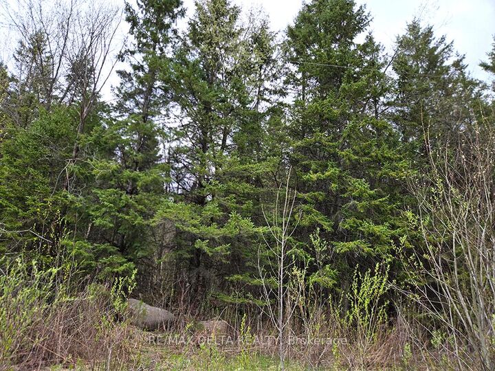 Property Photo: 000 Concession 5 Road ON K0C 1A0