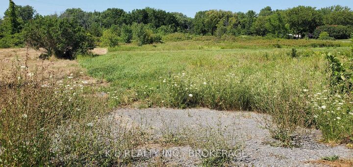 Property Photo:  31 Dorland Drive  ON K7R 3K7 