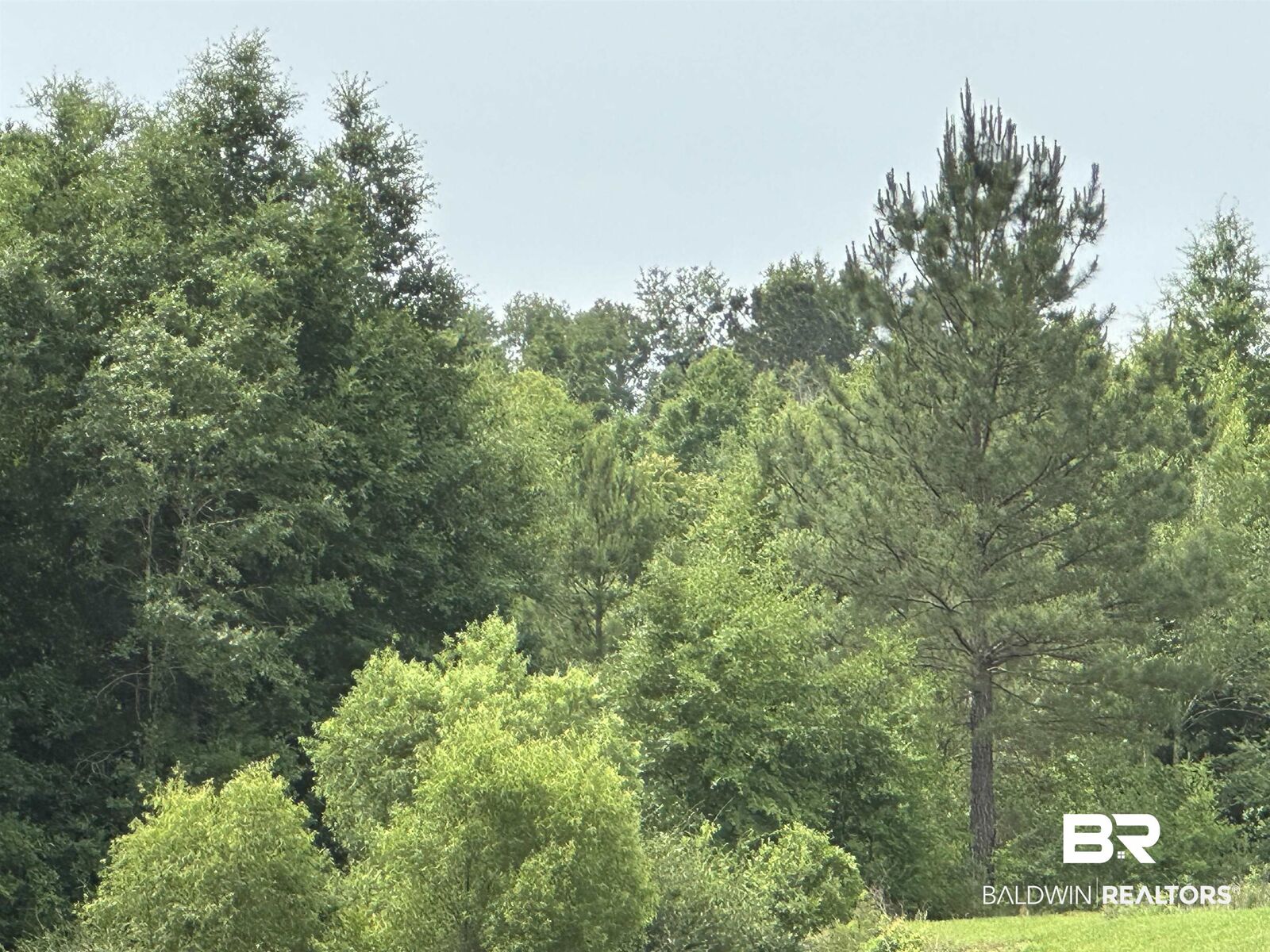 Property Photo: 0 E County Road 54 AL 36526