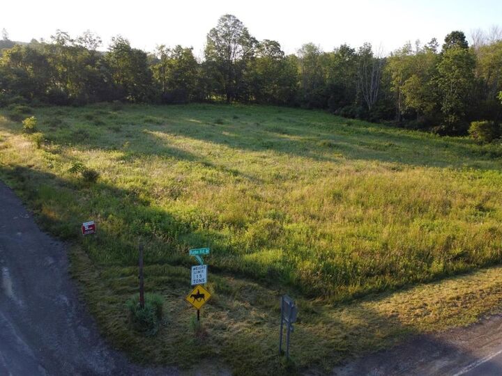 Property Photo:  0 Hornbrook Road  NY 14850 
