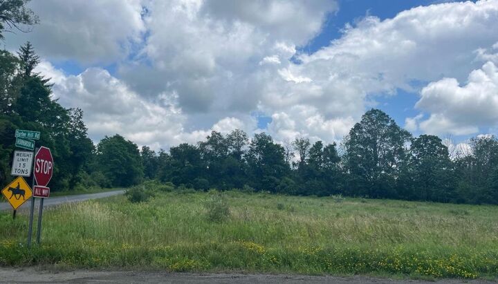 Property Photo:  0 Hornbrook Road  NY 14850 