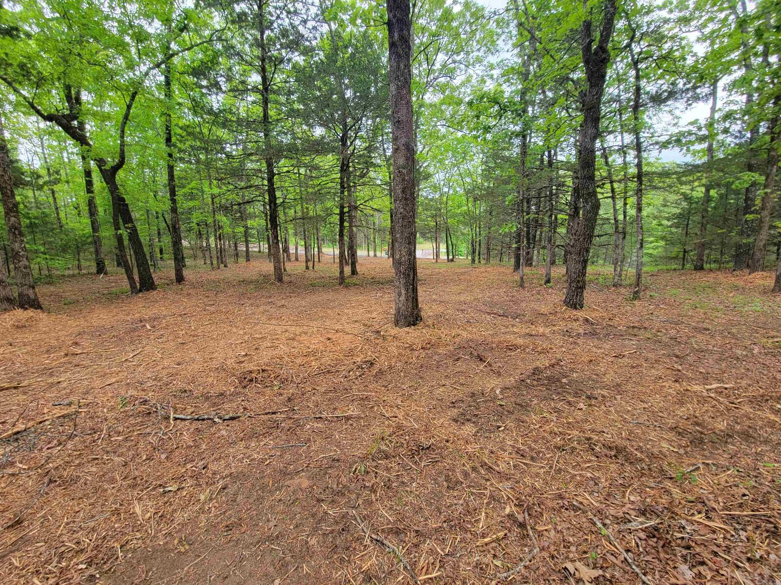 Property Photo:  00 McNew Cemetery Road  AR 72058 