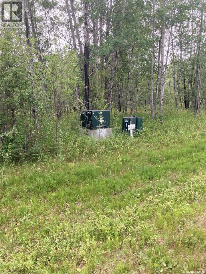 Property Photo:  10 Acre Delaronde Lake Acreage  SK S0J 0E0 