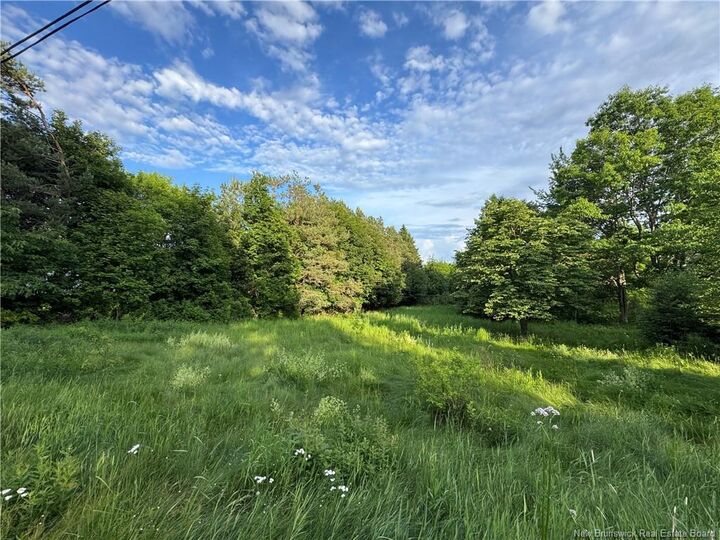 Property Photo:  Lot Harris Drive  NB E4L 3X6 