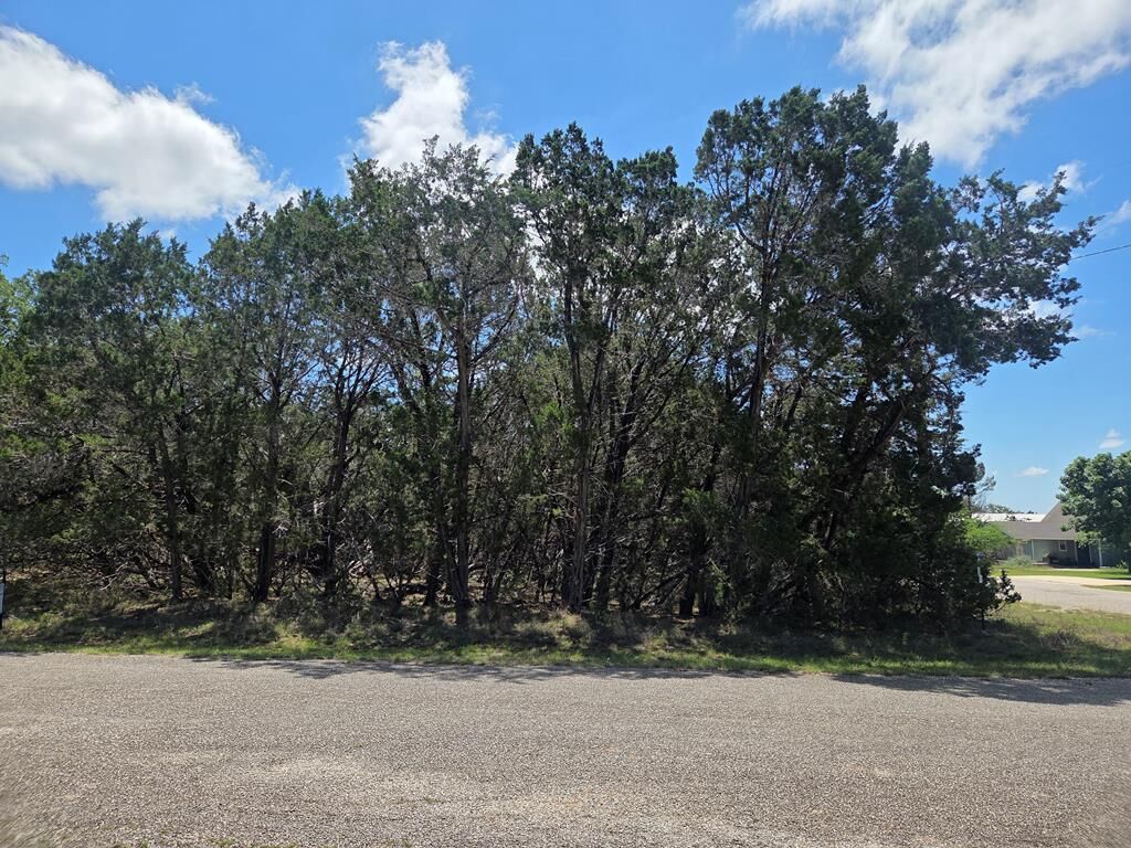 Property Photo:  000 Starburst Ln  TX 78003 