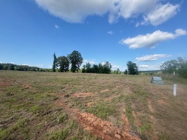 Property Photo:  Tbd Lot 5 Falcon View  TX 75640 