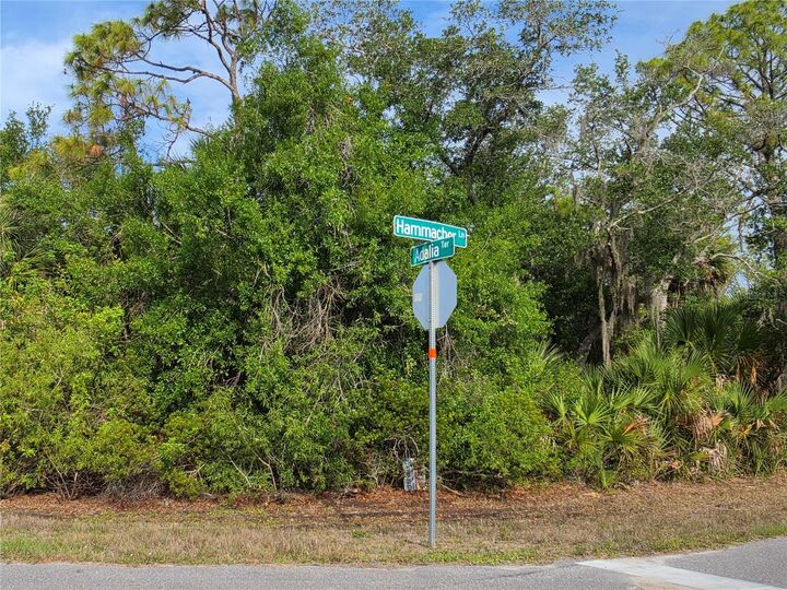 Property Photo: 1193 Hammacher Lane FL 33953