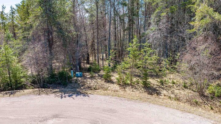 Property Photo:  13361 W Jackola (#4) Road  MI 49905 