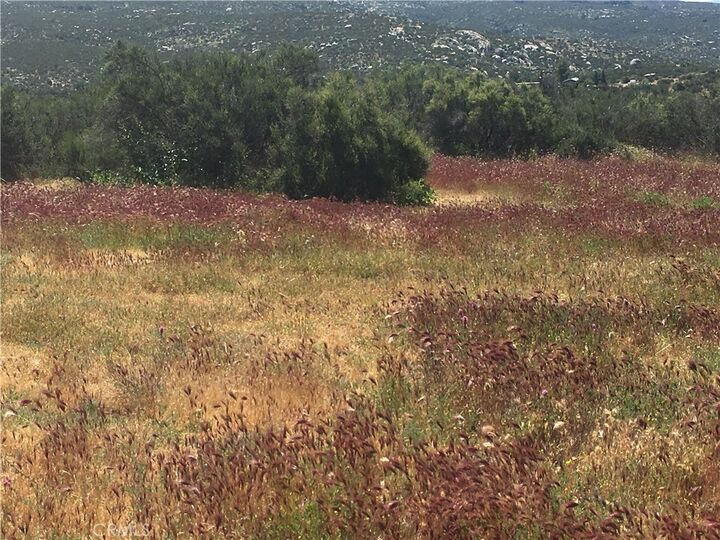 Property Photo: 7 Willow Creek Road CA 92544