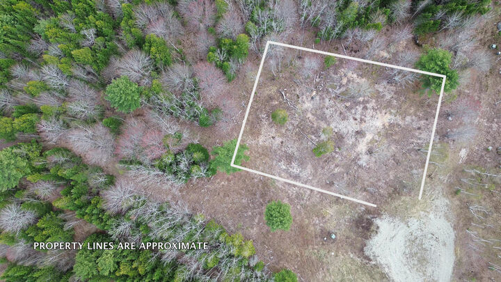 Property Photo:  Lot 17 Bailey Mountain Road  ME 04634 