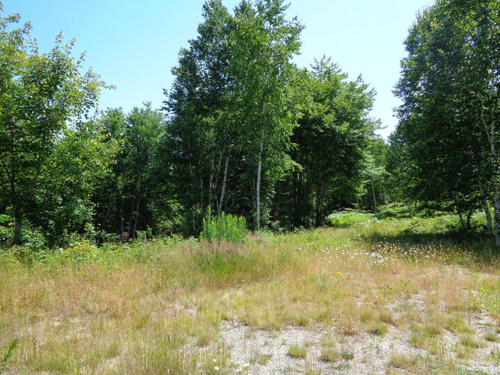 Property Photo: Lot 17 Bailey Mountain Road ME 04634