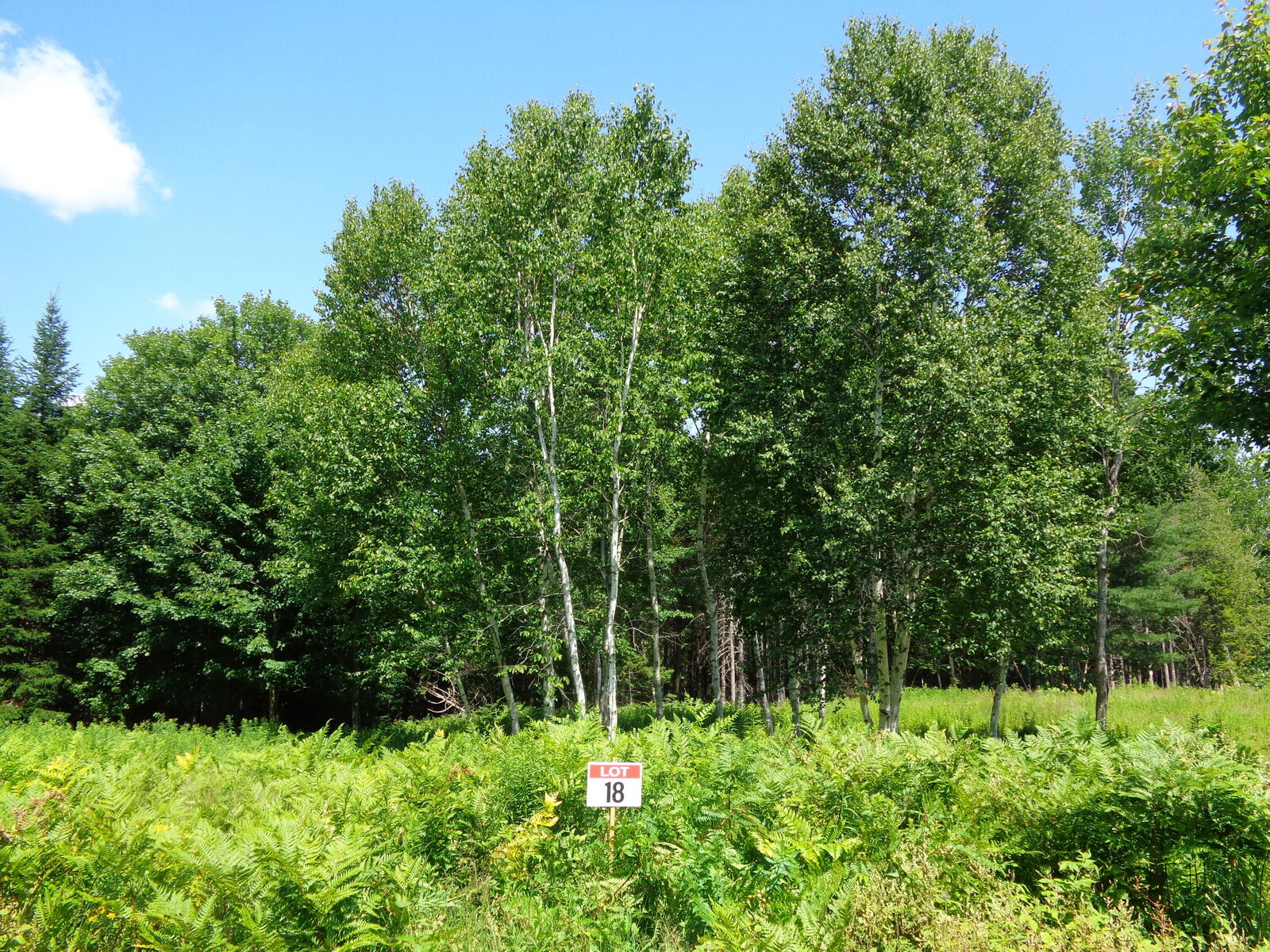 Property Photo: Lot 18 Bailey Mountain Road ME 04634