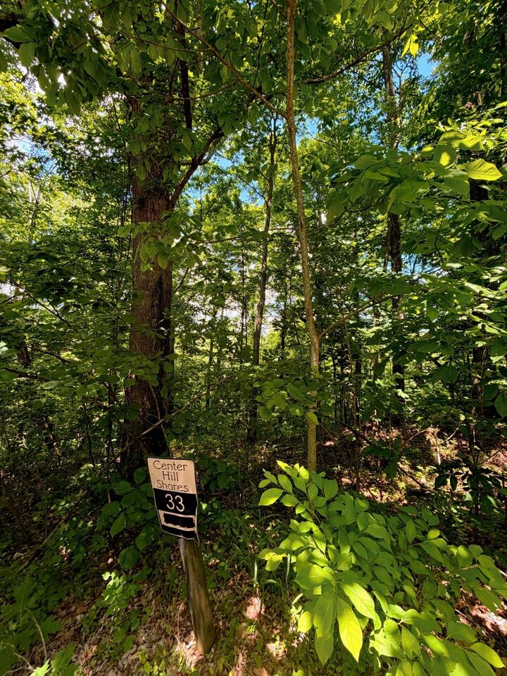 Property Photo:  33 Swiper Dr  TN 37166 