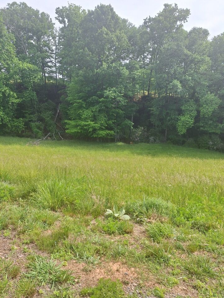 Property Photo:  Lot 67 Hillside  GA 30560 