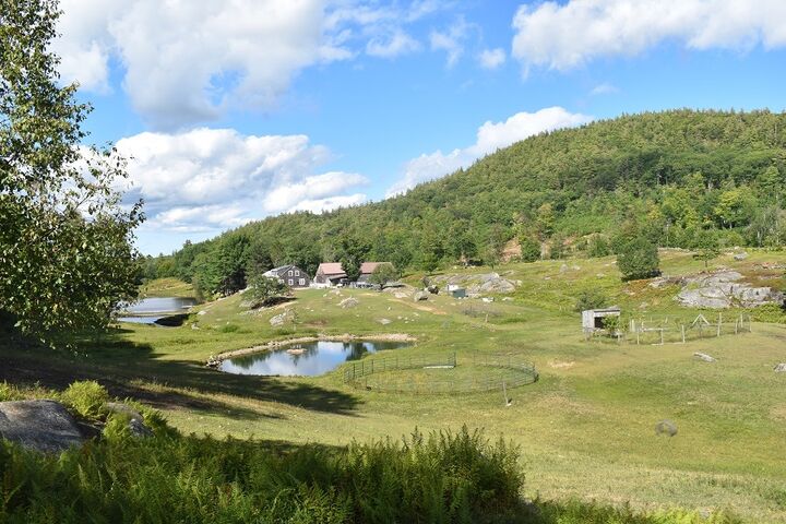 Property Photo: 345 Deer Valley Road NH 03221-0000