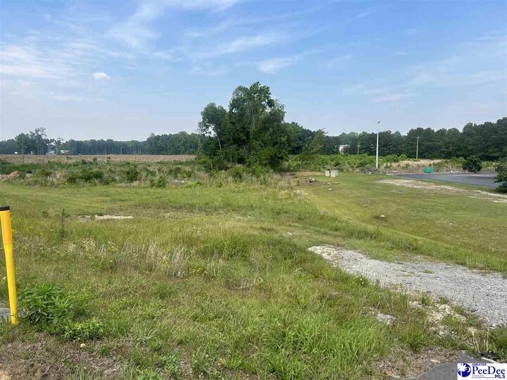 Property Photo:  Tbd Cale Yarborough Hwy  SC 29161-8227 