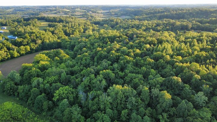 Property Photo:  9601 Boatman Road  KY 42171 