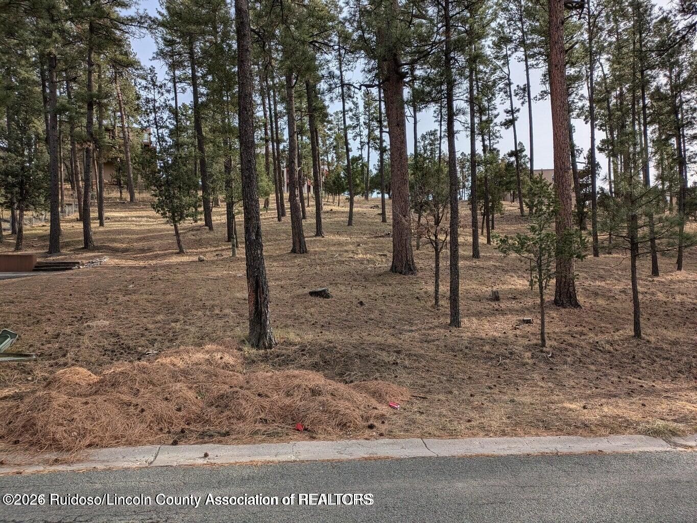 Property Photo:  320 White Mountain Meadows Drive  NM 88345 