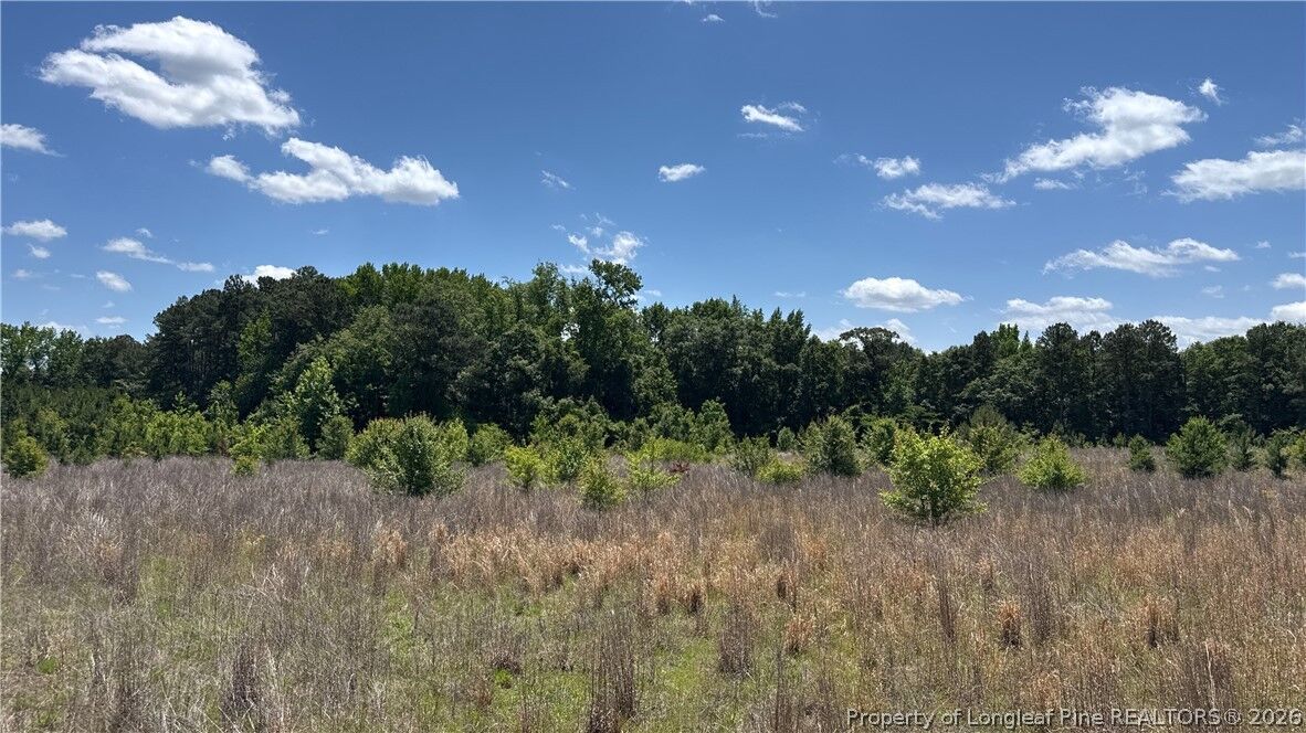 Property Photo:  Snipes Road  NC 20747 