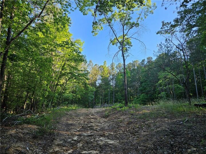 Property Photo:  0 Ponderosa Trail  GA 30132 
