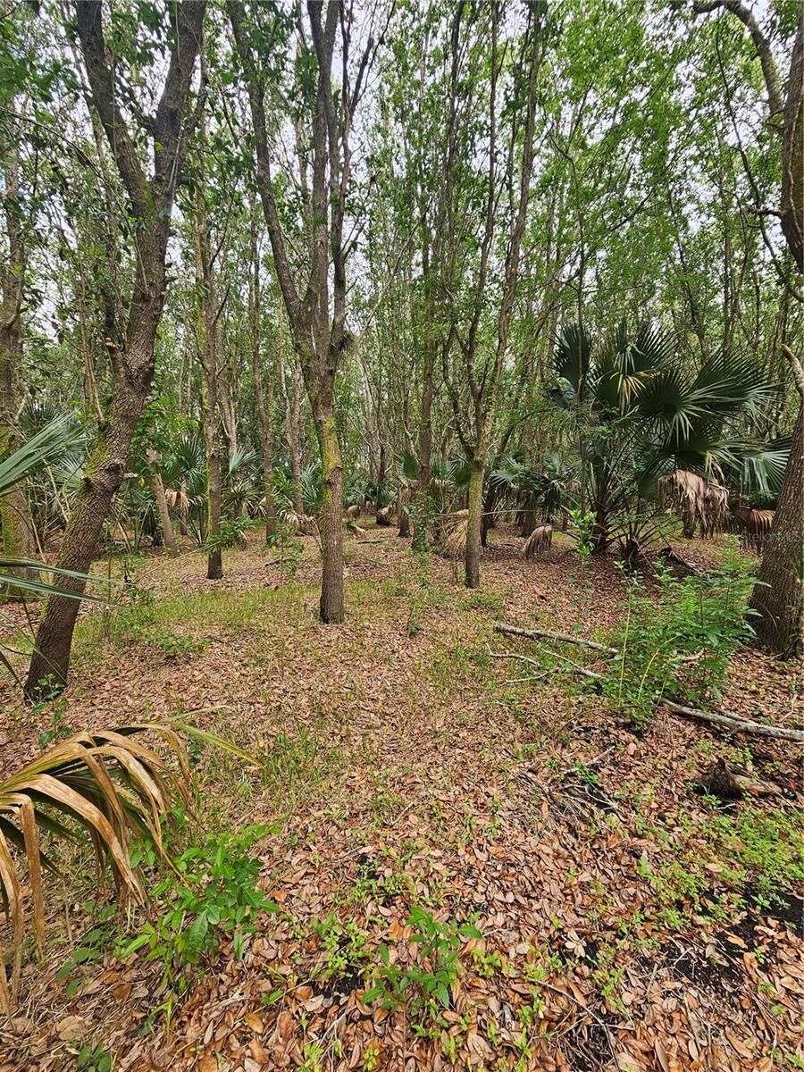 Property Photo:  601 Howard Avenue  FL 32765 