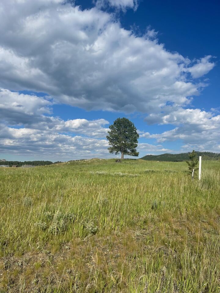 Property Photo: Lot 23, Block 1 Park Avenue SD 57730