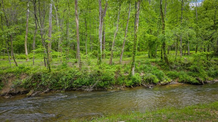 Property Photo:  Lots 1-4 Cool Creek Way  GA 30541 