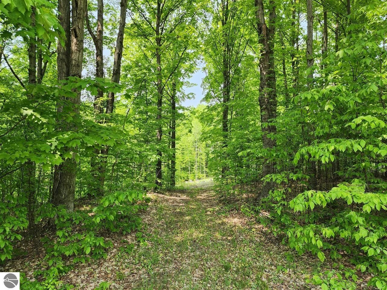 Property Photo:  V/L Ravens Roost  MI 49684 