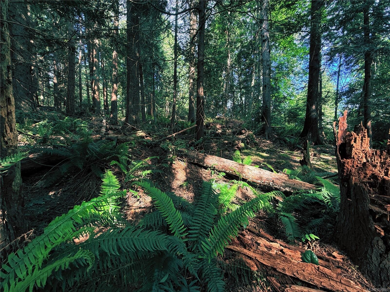 Property Photo:  Lot 6 Spruce Ave  BC V0R 1X1 