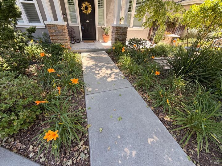 Property Photo:  113 Coulter Way  CA 95687 