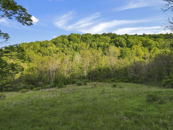 Property Photo:  14745 Dutch Creek Road  OH 45701 